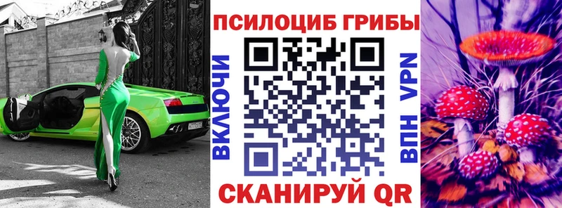 Галлюциногенные грибы мицелий hydra зеркало Кемь